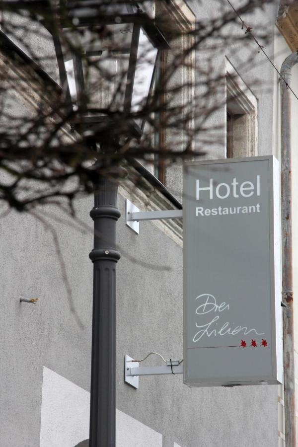Hotel Drei Lilien Vohenstrauss Eksteriør billede